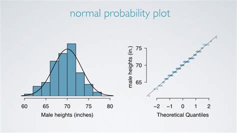 Normal Distribution Scatter Plot に対する画像結果