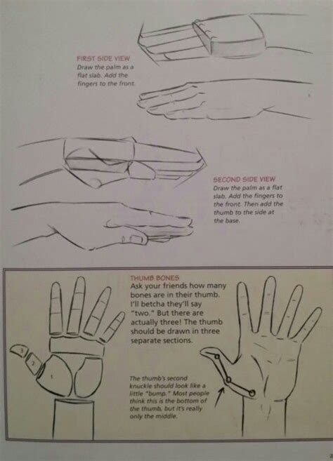 Image result for Hand Side View Drawing Left