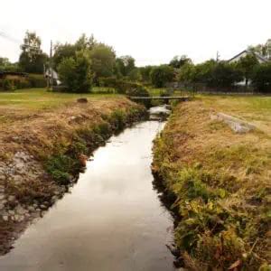 Image result for Stream Type