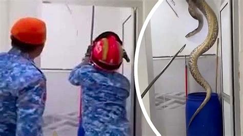 Toradh íomhá ar Python 6 Meter