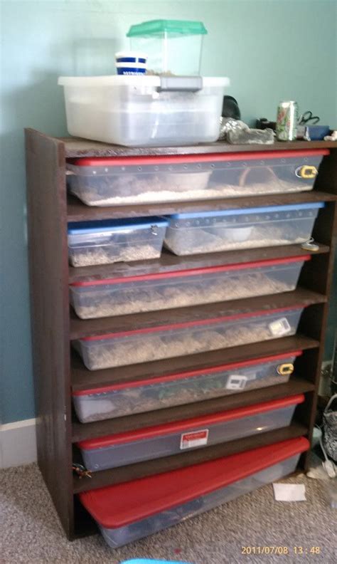 Image result for DIY Snake Rack Ball Python
