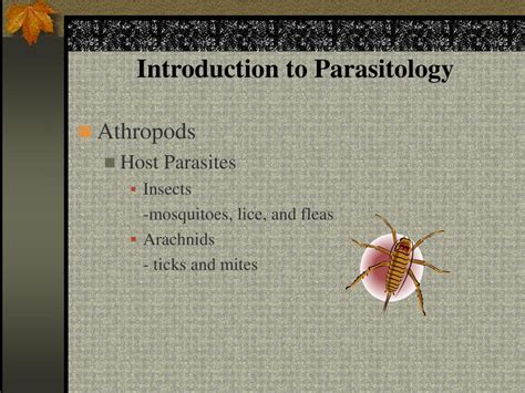 Image result for Parasitology Examples