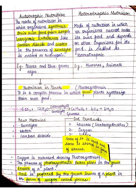 Image result for Life Processes Class 10 Nutrition in Human Beings Flow Chart