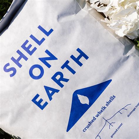 Toradh íomhá ar Types of Whelk Shells