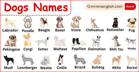 Afbeeldingsresultaten voor Different Types of Descriptive Language