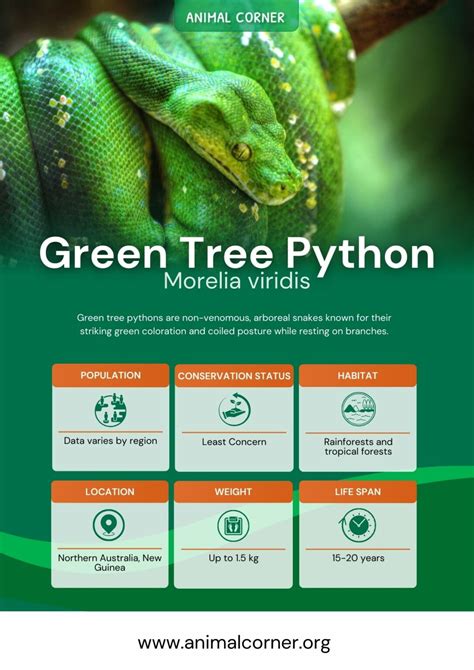Green Tree Python Color Chart に対する画像結果