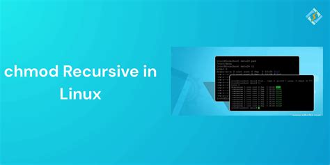 Image result for Linux Chmod 654