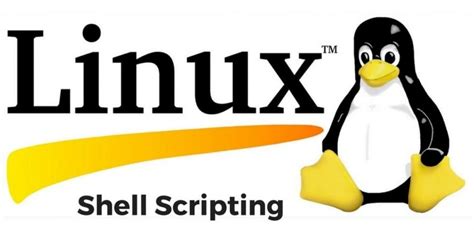 Image result for Shell Scripting Official Logo