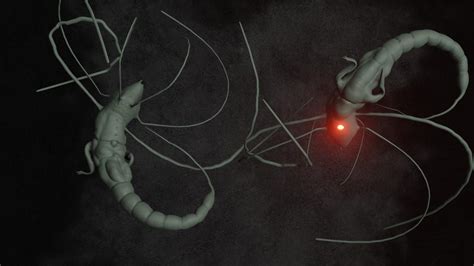 Image result for Matrix Tracking Bug