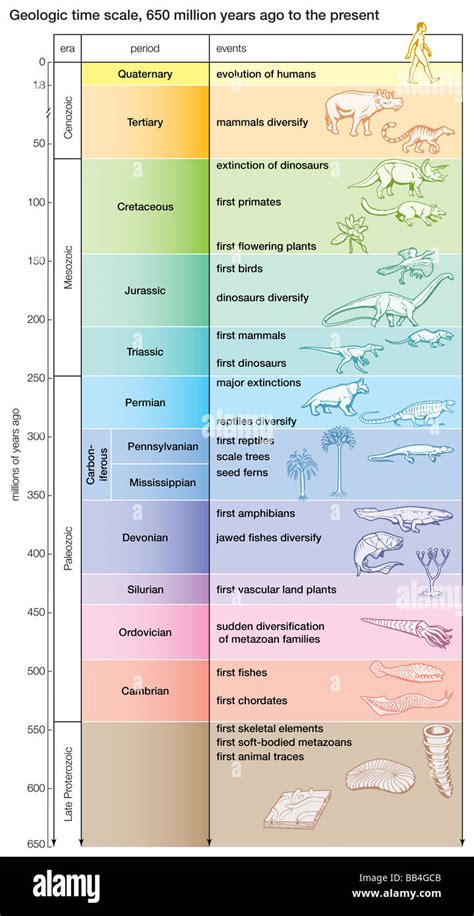 Unique Geologic Time Scale に対する画像結果