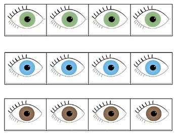 Image result for Eye Color Graphing