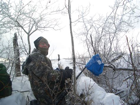 Image result for Canadian Bison Hunting