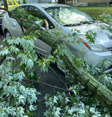 Image result for Cross Trainer SXT Pumps Two 5662