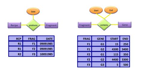 Toradh íomhá ar How Do Relational Databases Work