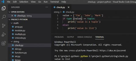 How Can You Check If a Number Is an Integer in Python に対する画像結果