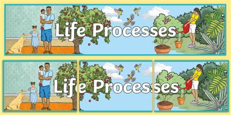 Image result for Poster On Life Processes