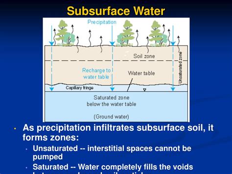 Image result for Subsurface Flow Zone