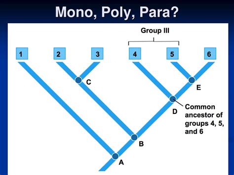Image result for Character Matrix Examples