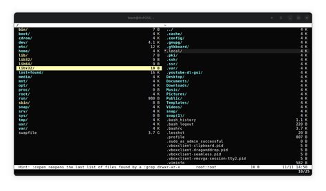 Afbeeldingsresultaten voor Best Linux with File Manager