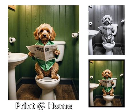 Afbeeldingsresultaten voor Funny Cockapoo