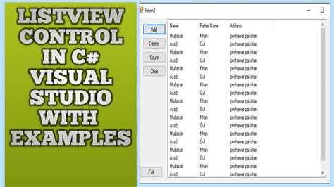 Image result for List View WinForms