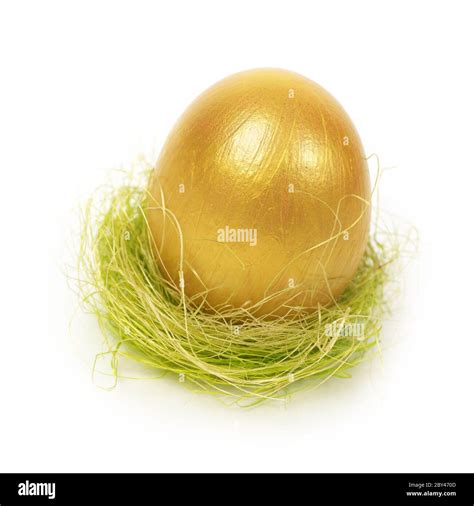 Image result for Python Egg in a Nest