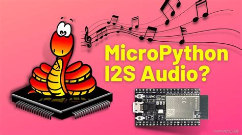 Image result for Micropython DSP