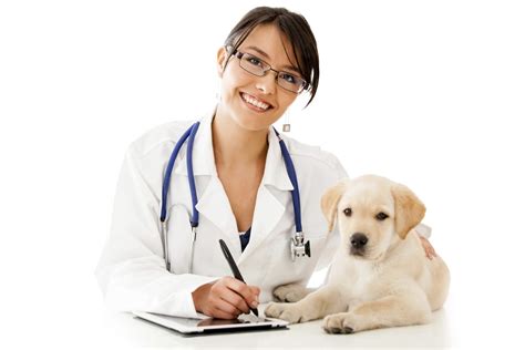 Image result for Vet Assistant Salary