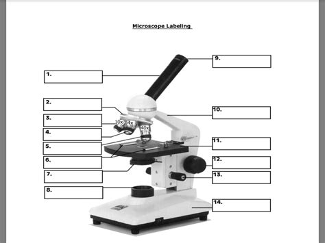 Toradh íomhá ar Compound Light Microscope Labeled Diagram