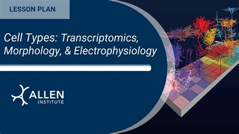 Type of Transcriptomics に対する画像結果