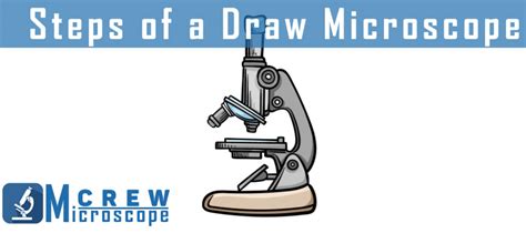 Image result for How to Draw a Microscope Step by Step