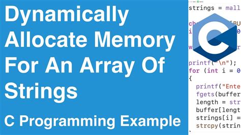Image result for Program in CTO Allocate Memory Dynamically for the 2D Array