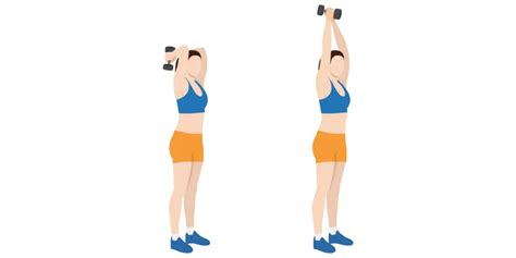 Image result for Tricep Over Extensions