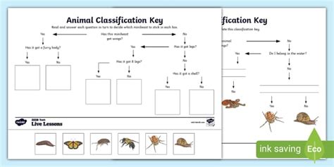 Image result for Classifying Animals Worksheet Key Stage 2