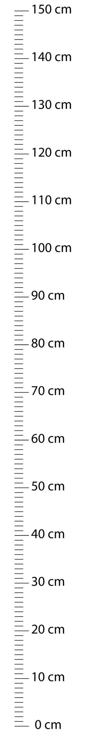 Image result for Inch Milestone Chart