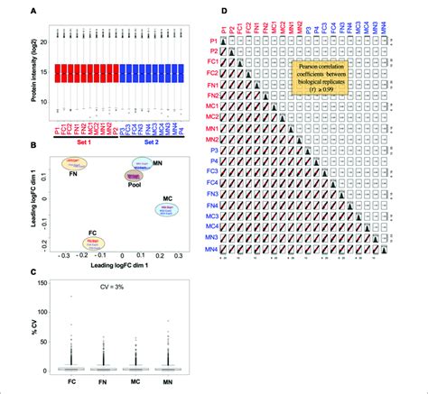 Toradh íomhá ar Sample of Normalization for Data Sets