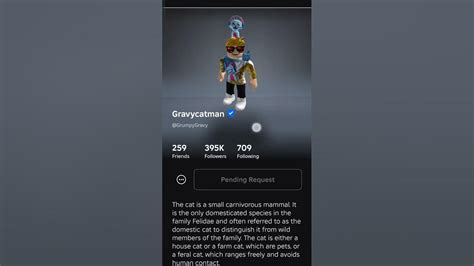 Image result for Gravy Cat Man Live