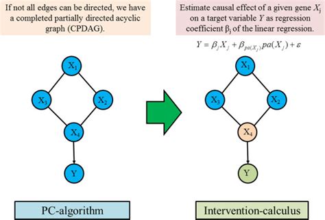 Ida Lab Test Approach に対する画像結果