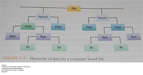 Image result for Data Hierarchy in a Computer System