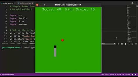 Toradh íomhá ar Python Program For Snake Game