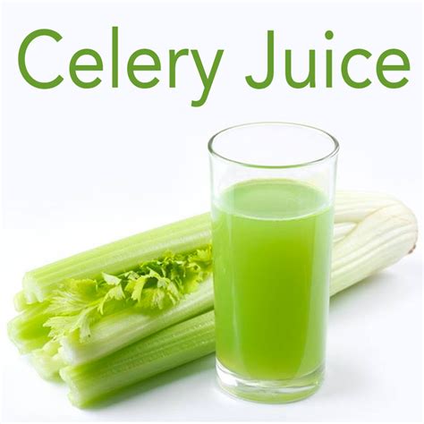 Celery Juice に対する画像結果