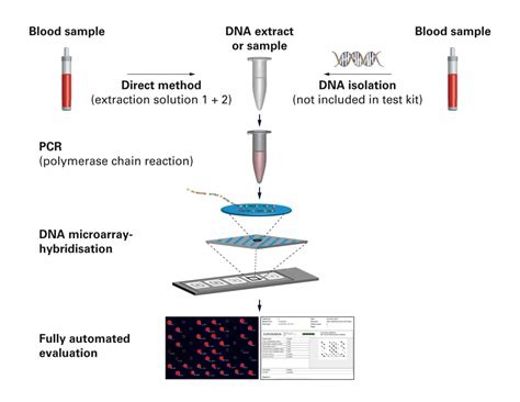 Afbeeldingsresultaten voor Microarray De ADN
