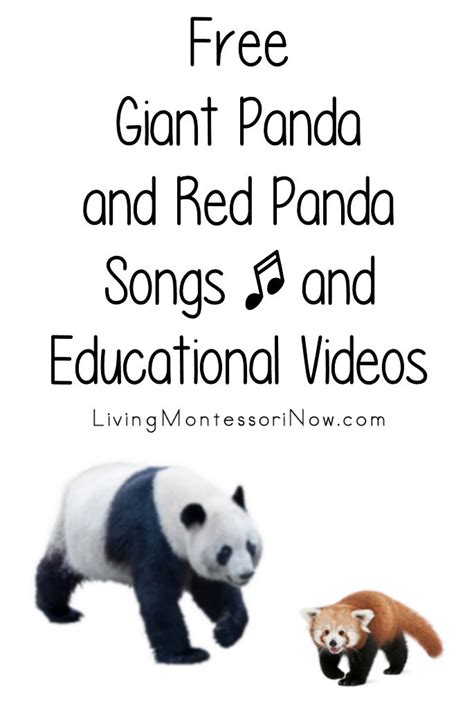 Toradh íomhá ar Red Panda Information