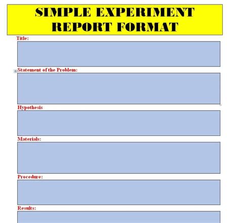 Format for Experiment Report に対する画像結果