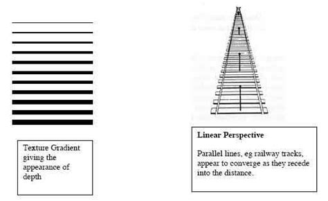 Toradh íomhá ar Visual Perception Definition
