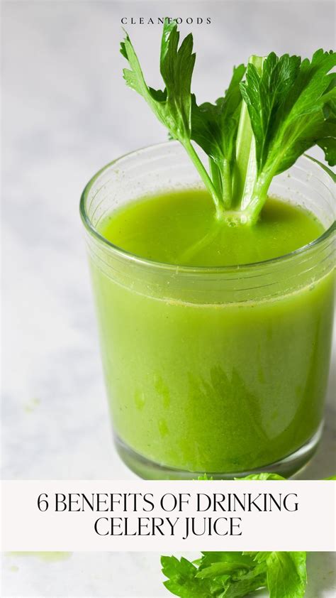 Celery Juice に対する画像結果