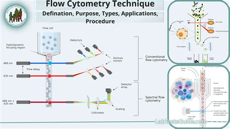 Image result for Flow Cytometry Test