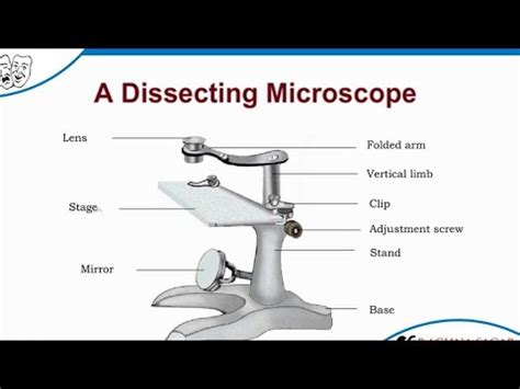 Objects Dissecting Microscope に対する画像結果