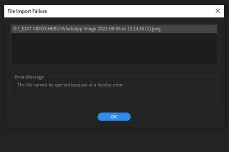 Toradh íomhá ar How to Open File That Cannot Be Open