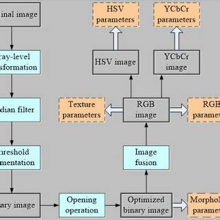 Image result for Lace Image Preprocessing